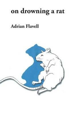 on drowning a rat - Adrian Flavell - cover