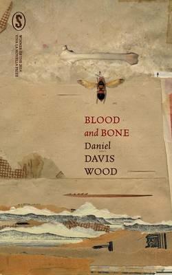 Blood and Bone - Daniel Davis Wood - cover