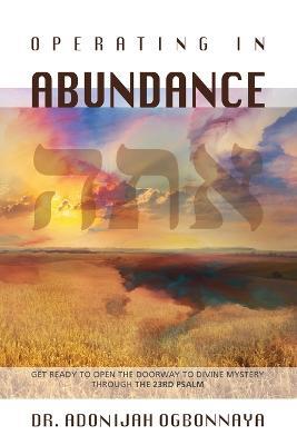 Operating in Abundance - Adonijah Ogbonnaya - cover