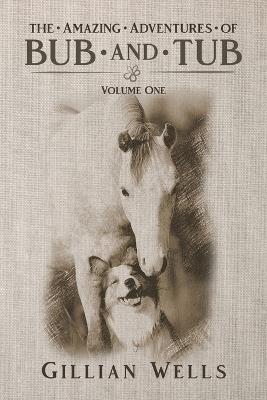 The Adventures of Bub & Tub Volume One - Gillian Wells - cover