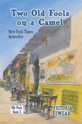 Two Old Fools on a Camel: From Spain to Bahrain and back again - Victoria Twead - cover