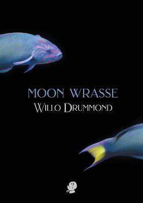 Moon Wrasse - Willo Drummond - cover