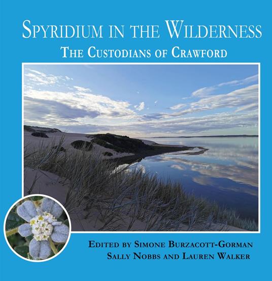 Spyridium in the Wilderness