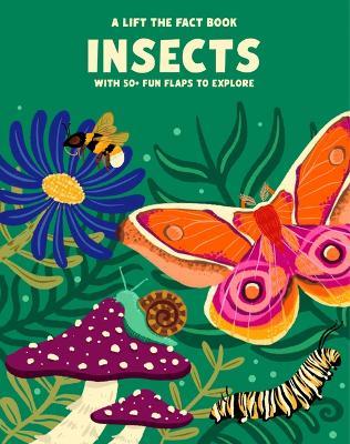 Lift the Fact: Insects - Emma Whitelaw - cover