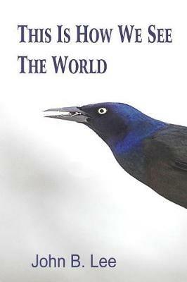 This is How We See the World - John B Lee - cover