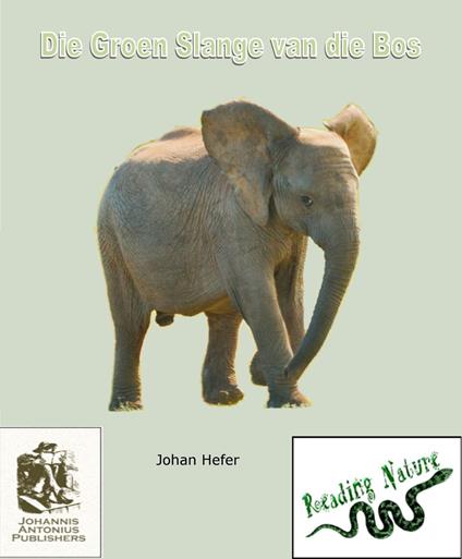 Die Groen Slange van die Bos - Johan Hefer - ebook