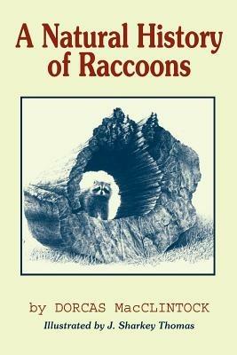 A Natural History of Raccoons - Dorcas MacClintock - cover