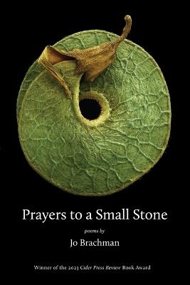 Prayers to a Small Stone - Jo Brachman - cover