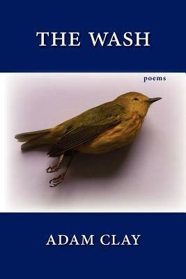 The Wash - Adam Clay - cover