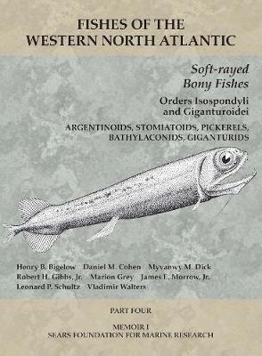 Soft-rayed Bony Fishes: Orders Isospondyli and Giganturoidei: Part 4 - Henry B. Bigelow,Daniel M. Cohen,Myvanwy M Dick - cover