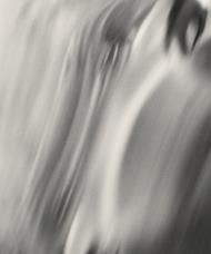 Henry O. Head: Twelve Acres