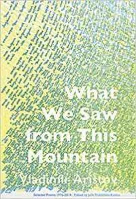 What We Saw From This Mountain - Vladimir Aristov - cover