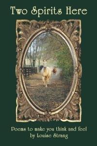 Two Spirits Here - Louise DeVito - cover