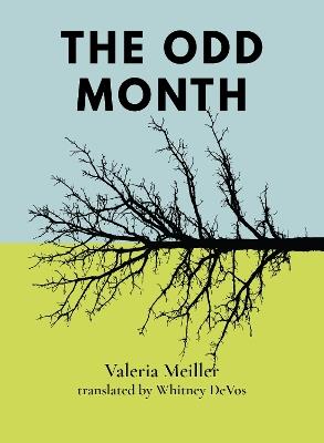 The Odd Month - Valeria Meiller - cover