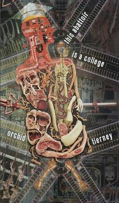 this abattoir is a college - Orchid Tierney - cover