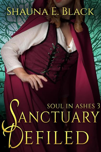 Sanctuary Defiled - Shauna E. Black - ebook