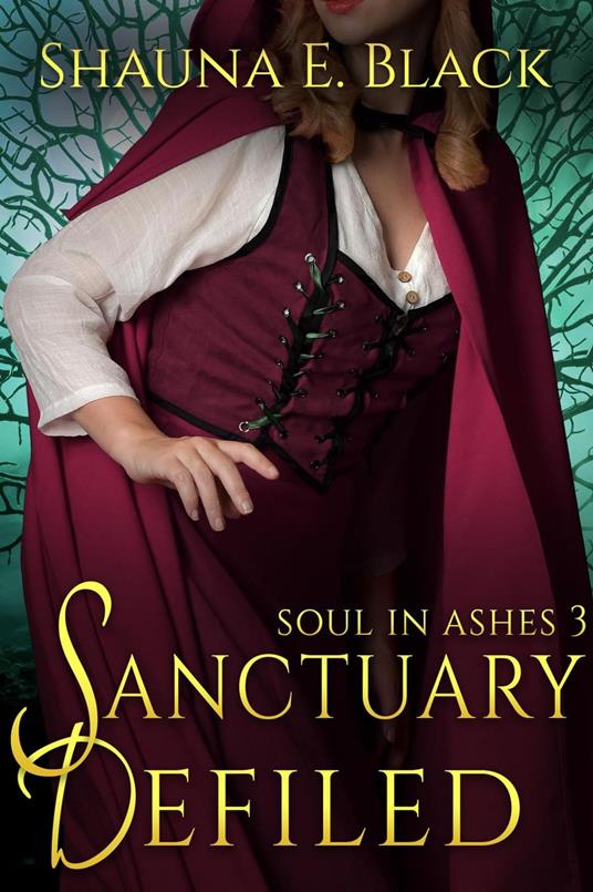 Sanctuary Defiled - Shauna E. Black - ebook