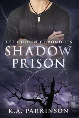 The Shadow Prison - K a Parkinson - cover