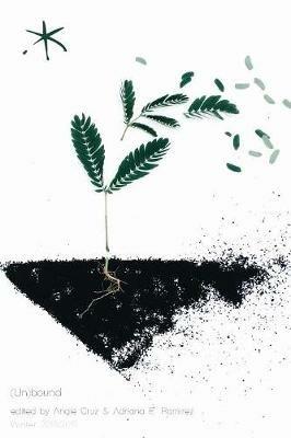 (Un)bound: Five Years of Asterisms, An Aster(ix) Anthology - cover