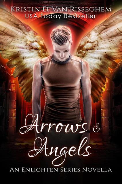 Arrows & Angels - Kristin D. Van Risseghem - ebook