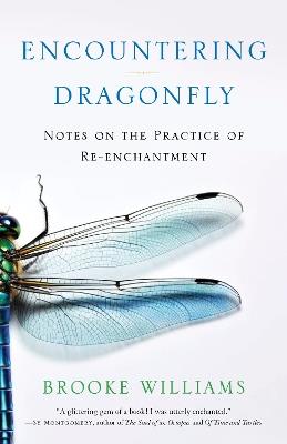 Encountering Dragonfly: Notes on the Re-enchantment of the World - Brooke Williams - cover