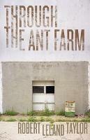 Through the Ant Farm