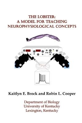 The Lobster: A Model for Teaching Neurophysiological Concepts - Kaitlyn E Brock,Robin L Cooper - cover