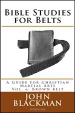Bible Studies for Belts: A Guide for Christian Martial Arts Vol. 6: Brown Belt