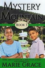 Mystery Mountain, Book Three: More In The Adventures Of A Mountain Family and Community