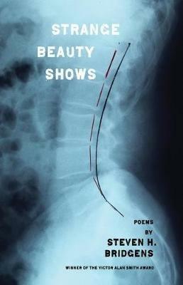Strange Beauty Shows - Steven H Bridgens - cover