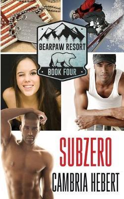 Subzero - Cambria Hebert - cover