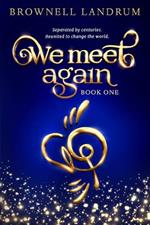 We Meet Again: An epic reincarnation mystery about a famous couple reunited to change the world.