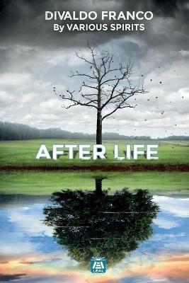 After Life - Divaldo Pereira Franco - cover