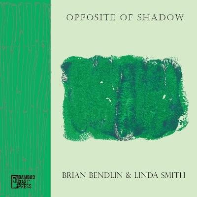 Opposite of Shadow - Brian Bendlin - cover