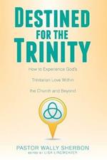 Destined for the Trinity: How to Experience God's Trinitarian Love Within the Church and Beyond