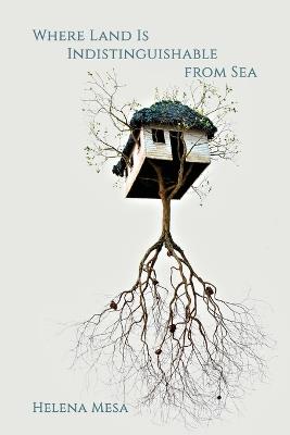 Where Land Is Indistinguishable from Sea - Helena Mesa - cover