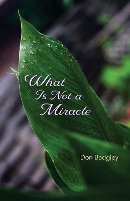 What Is Not a Miracle - Don Badgley - cover