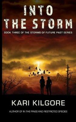Into the Storm - Kari Kilgore - cover