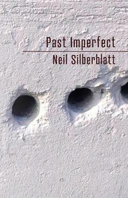 Past Imperfect - Neil Silberblatt - cover