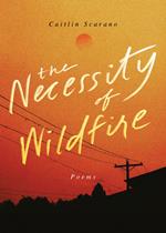 The Necessity of Wildfire