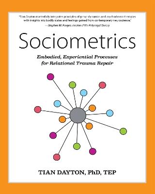 Sociometrics: Embodied, Experiential Processes for Healing Trauma and Addiction - Tian Dayton - cover