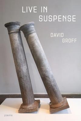 Live in Suspense - David Groff - cover
