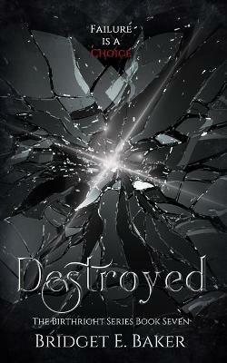 Destroyed - Bridget E Baker - cover