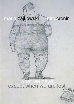 What We Have: Except When We Are Lost - Maria Zajkowski,Mtc Cronin - cover