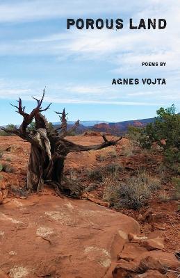 Porous Land - Agnes Vojta - cover