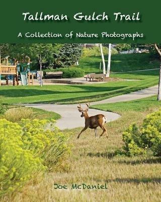 Tallman Gulch Trail - Joe G McDaniel - cover