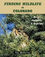 Finding Wildlife In Colorado: Birds, Mammals and Reptiles