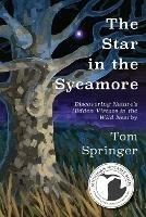 The Star in the Sycamore: Discovering Nature's Hidden Virtues in the Wild Nearby - Tom Springer - cover