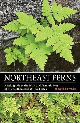 Northeast Ferns: A Field Guide to the Ferns and Fern Relatives of the Northeastern United States - Steve W Chadde - cover