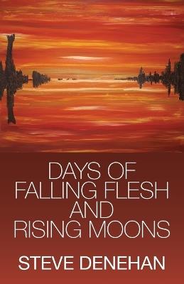 Days of Falling Flesh and Rising Moons - Steve Denehan - cover